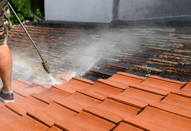 Roof Power Washing Services in Dalworthington Gardens, TX